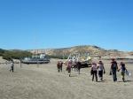 Image: Puerto Piramides - Valds Peninsula