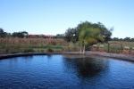 Pool and Casa de Esteros 