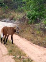 Image: Pousada Trijun��o - The Cerrado, Brazil