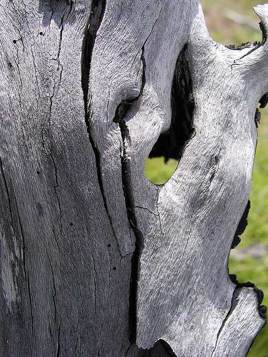 CH1104EM199_laguna_azul.jpg [&copy; Last Frontiers Ltd]