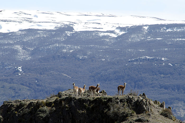 CL0909EM451_patagonia-park.jpg [&copy; Last Frontiers Ltd]