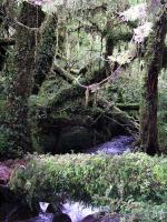 Image: Carretera Austral - Northern Carretera Austral