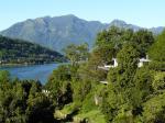 Image: Antumalal - Pucn and the Northern Lake District