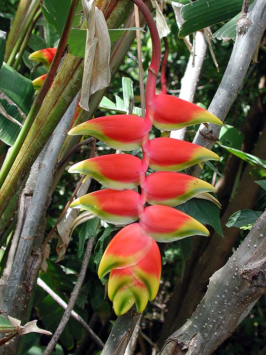 CR0502SM0209_InBioPark_SanJose.jpg [&copy; Last Frontiers Ltd]