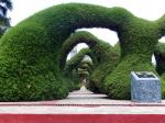 Topiary in Zarcero