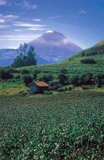 Image: Tungurahua volcano - Baos and Riobamba