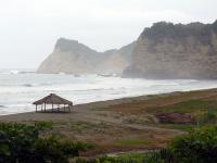 The Coast image