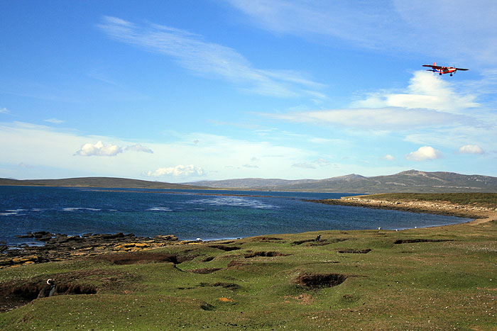 FK0310LD0342_saunders-magellanic-penguin-and-figas-flight.jpg [&copy; Last Frontiers Ltd]