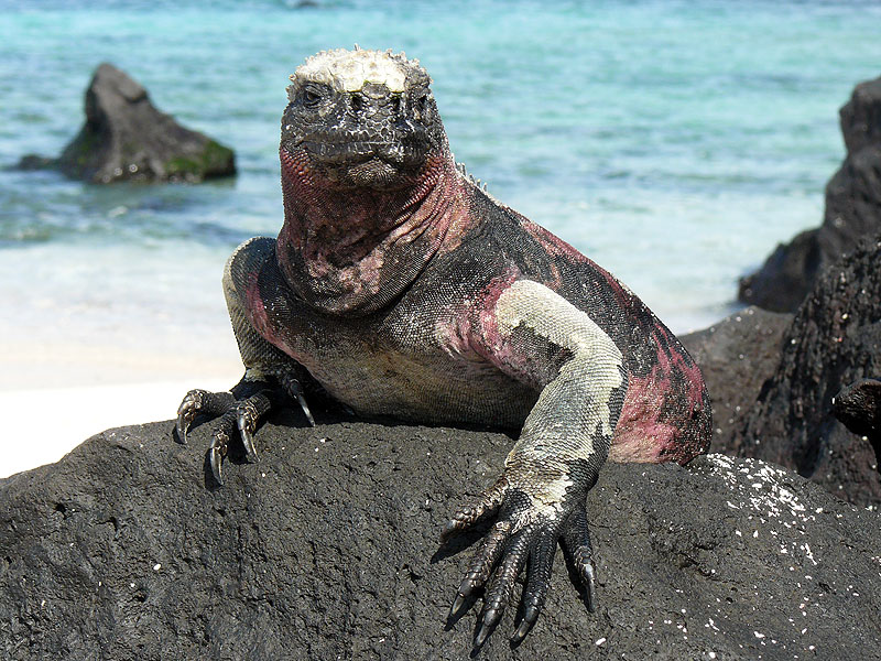 GP0917NL0447_espanola.jpg [&copy; Last Frontiers Ltd]