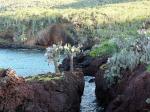 Image: R�bida - The uninhabited islands