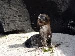 Image: Espa�ola - The uninhabited islands