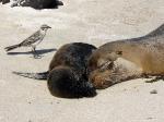 Image: Espa�ola - The uninhabited islands