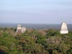 Tikal