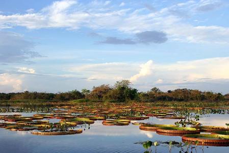 This 14 day itinerary is a comprehensive circuit including the highlights of Guyana and an introduction to Suriname, with its unique Maroon communities. Itinerary idea thumbnail