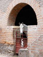 Image: Hacienda Sepulveda - The Pacific coast