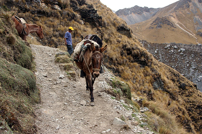 PE0907EP720_mlp_day3_trek.jpg [&copy; Last Frontiers Ltd]