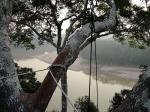 Tambopata river